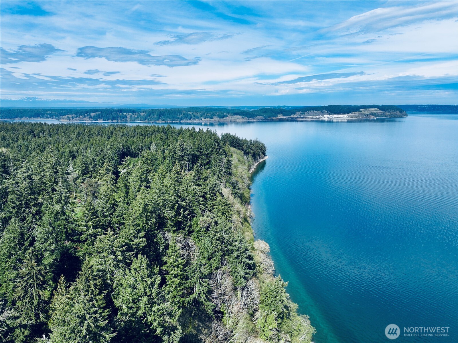 10111 Totem Way Anderson Island, WA 98303 - Photo 1 of 29