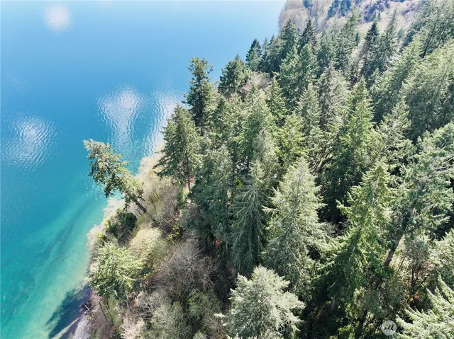 an aerial view of forest