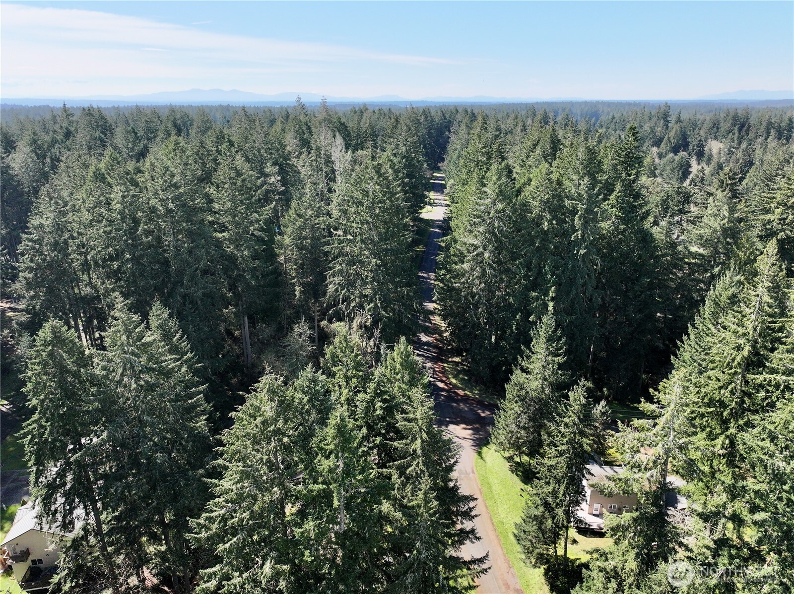 10111 Totem Way Anderson Island, WA 98303 - Photo 12 of 29 an aerial view of forest