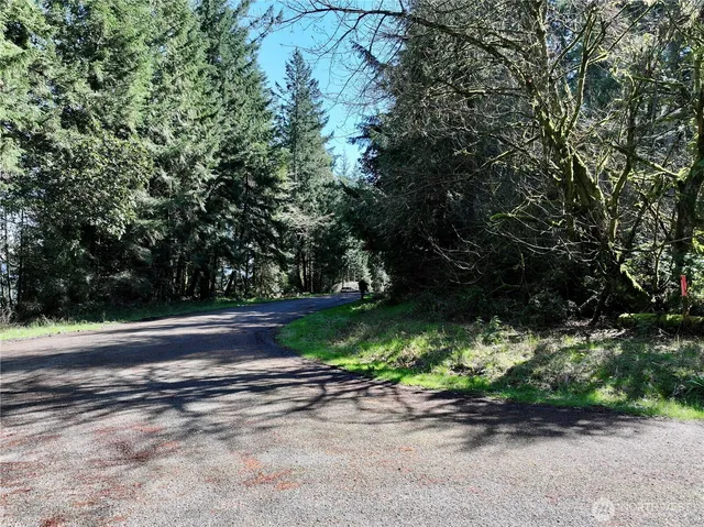 a view of backyard with green space
