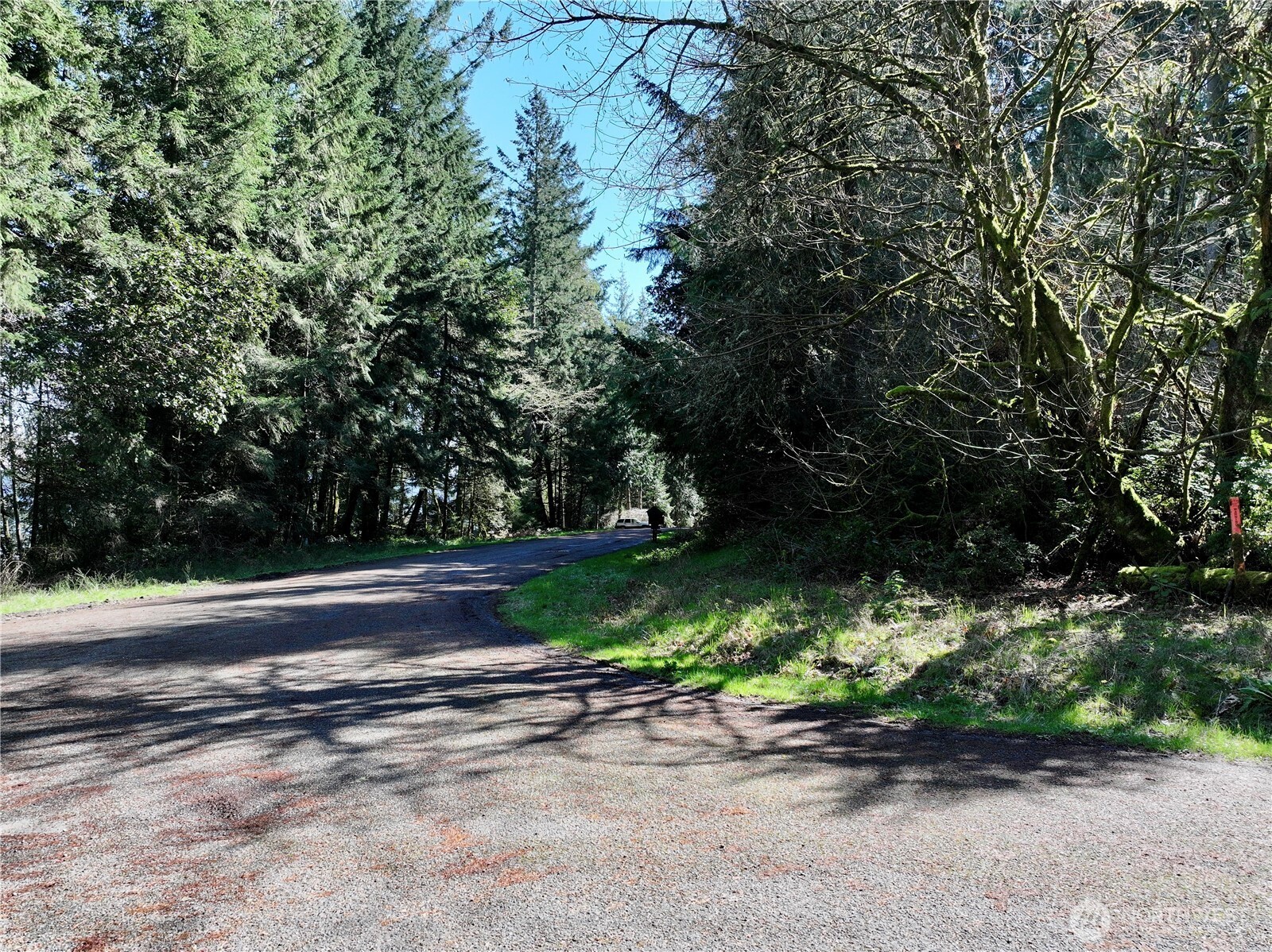 10111 Totem Way Anderson Island, WA 98303 - Photo 13 of 29 a view of street with a yard