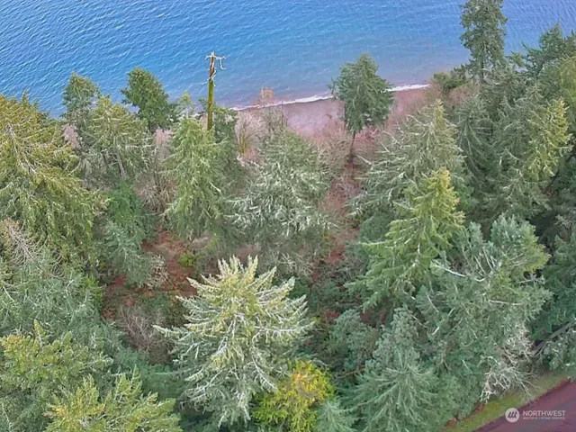 a view of a bunch of plants and flowers