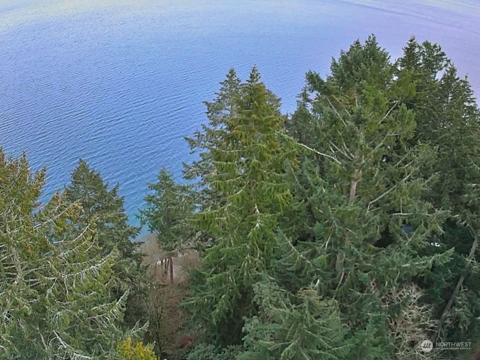10111 Totem Way Anderson Island, WA 98303 - Photo 21 of 29 an aerial view of a house with a yard
