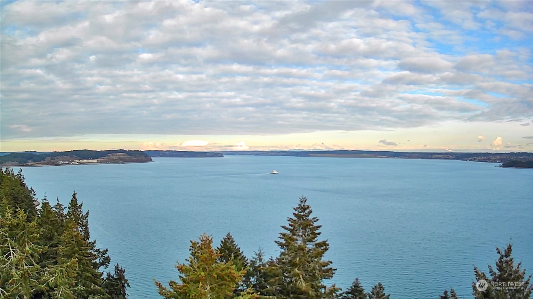 10111 Totem Way Anderson Island, WA 98303 - Photo 23 of 29 a view of a lake and mountain in the back