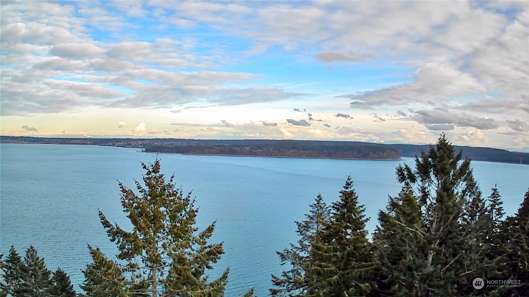 10111 Totem Way Anderson Island, WA 98303 - Photo 24 of 29 a view of a lake with a mountain