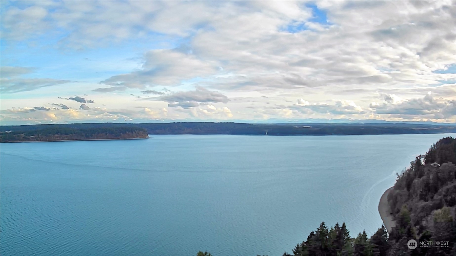 10111 Totem Way Anderson Island, WA 98303 - Photo 25 of 29 a view of lake and mountain in back