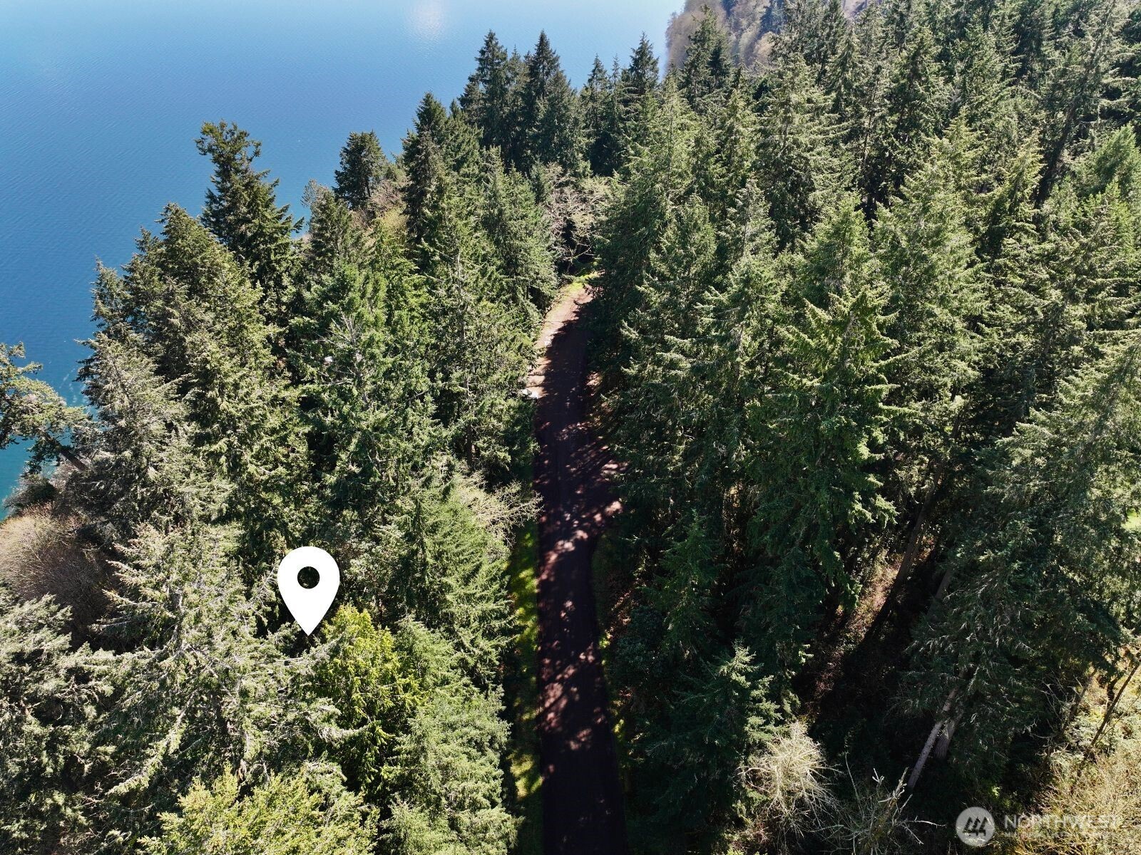 10111 Totem Way Anderson Island, WA 98303 - Photo 9 of 29 a view of a tree