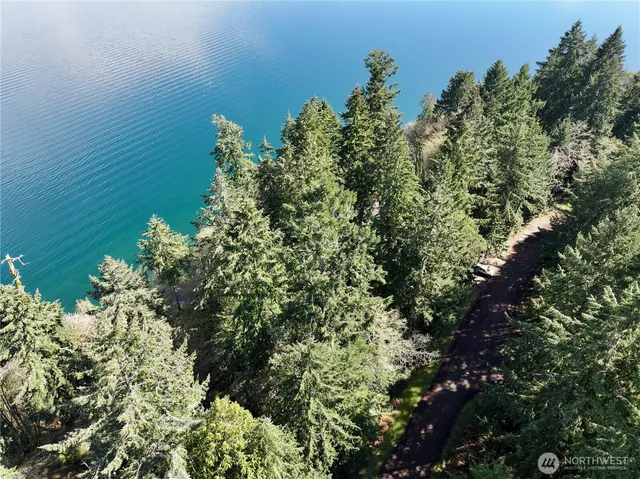 a view of a tree in a yard