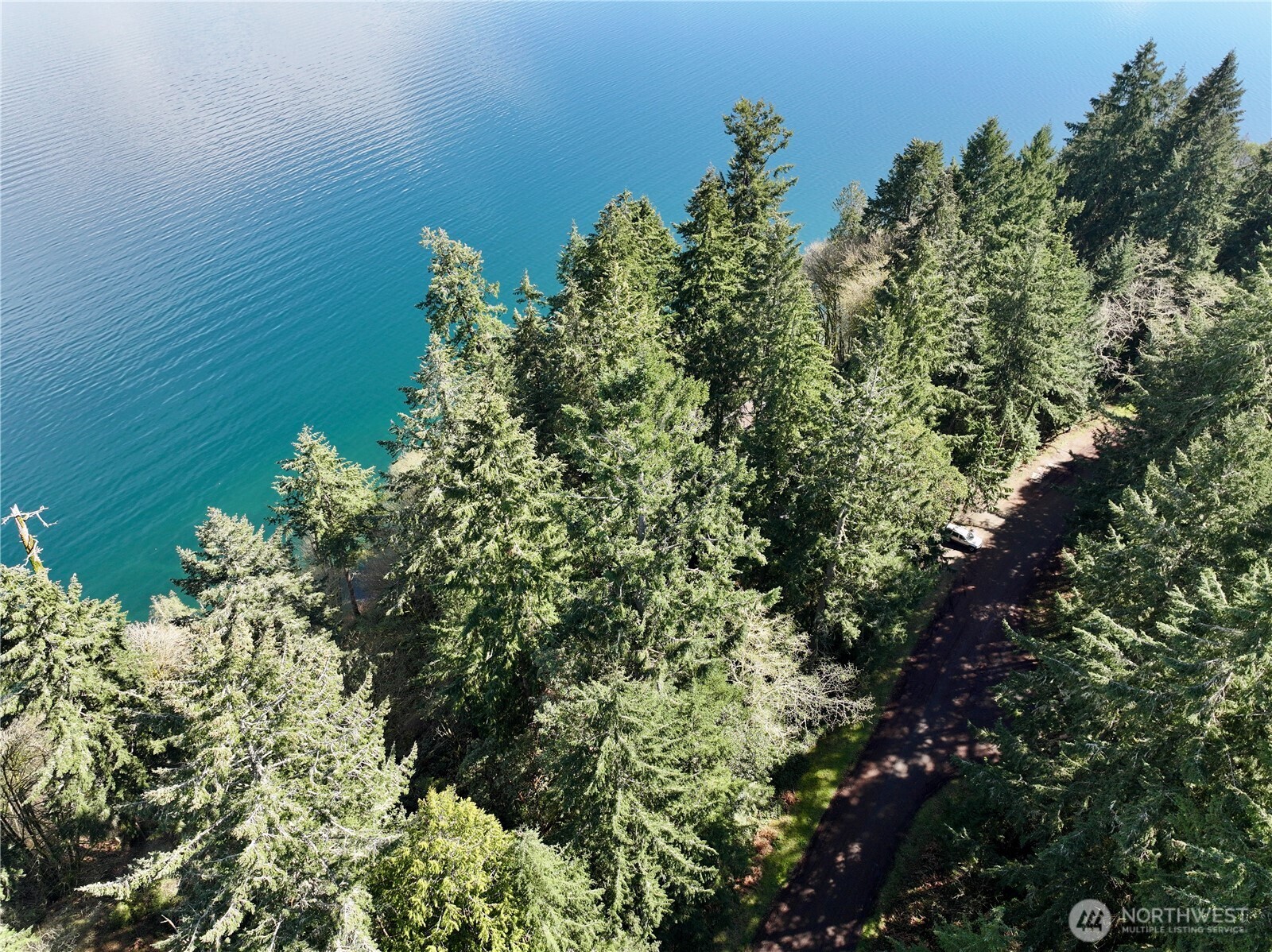 10111 Totem Way Anderson Island, WA 98303 - Photo 10 of 29 an aerial view of a house with a yard