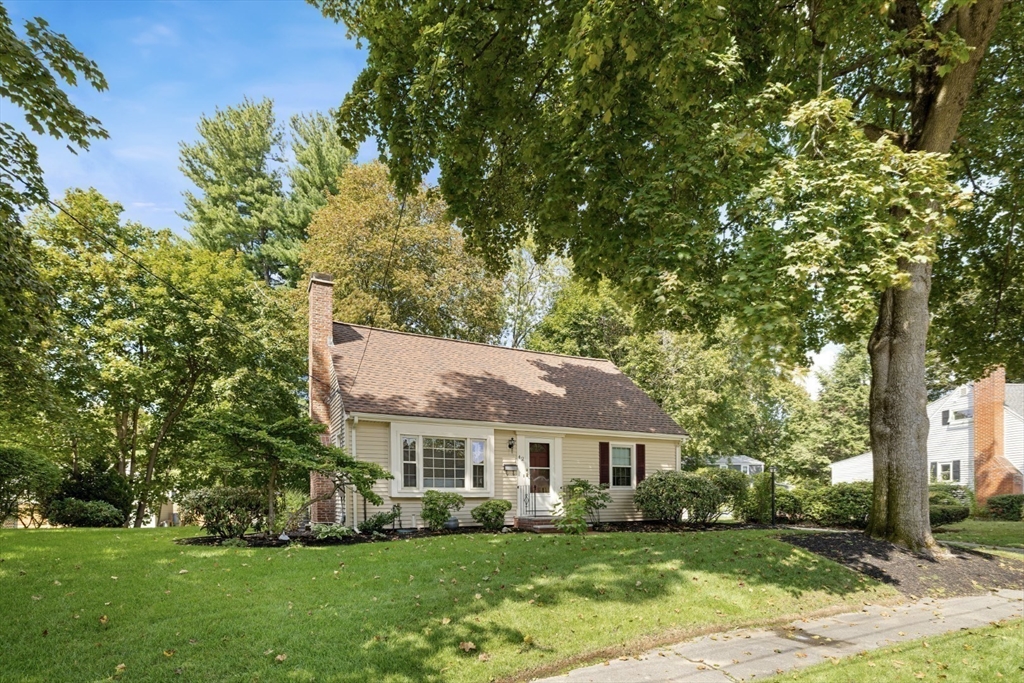 42 Sturges Road Reading, MA 01867 - Photo 2 of 42 a view of a house with a big yard plants and large trees