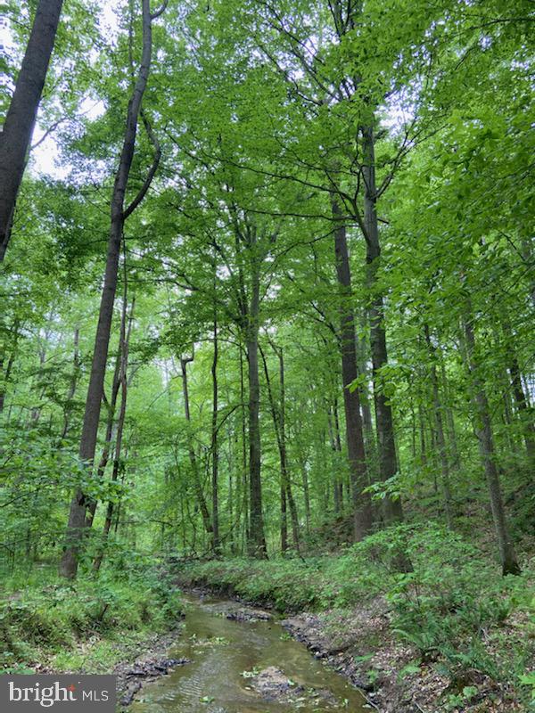 11449 Chews Branch Road Owings, MD 20736 - Photo 36 of 40 Gallery Image 36