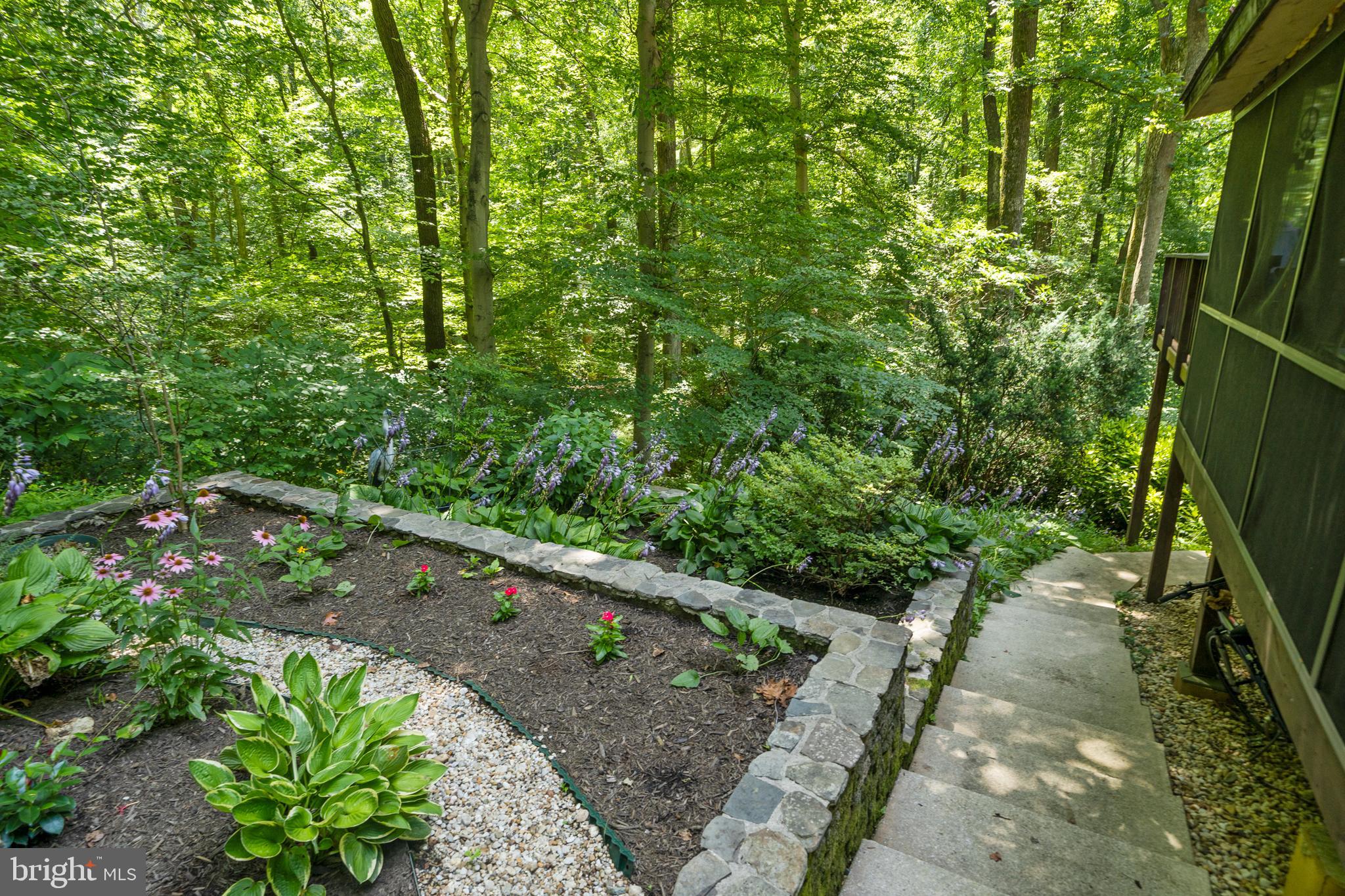 11449 Chews Branch Road Owings, MD 20736 - Photo 5 of 40 Gallery Image 5
