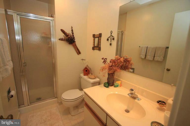 11014 Thrush Ridge Road Reston, VA 20191 - Photo 18 of 27 Bath #3