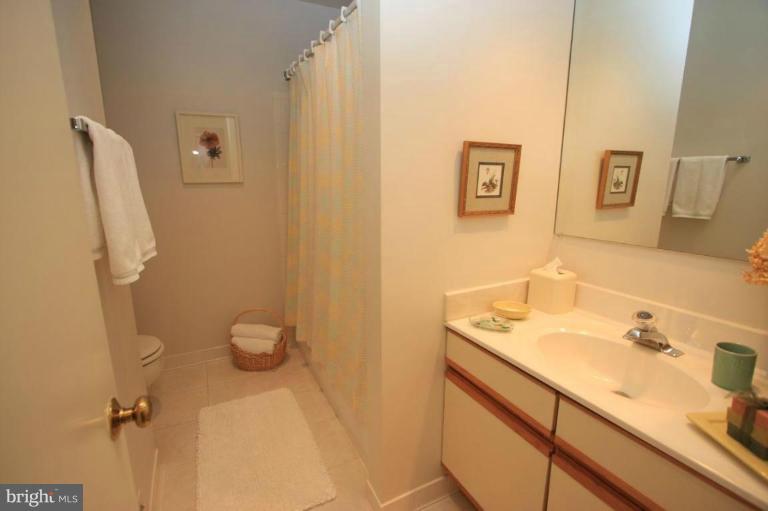11014 Thrush Ridge Road Reston, VA 20191 - Photo 22 of 27 Bath #2