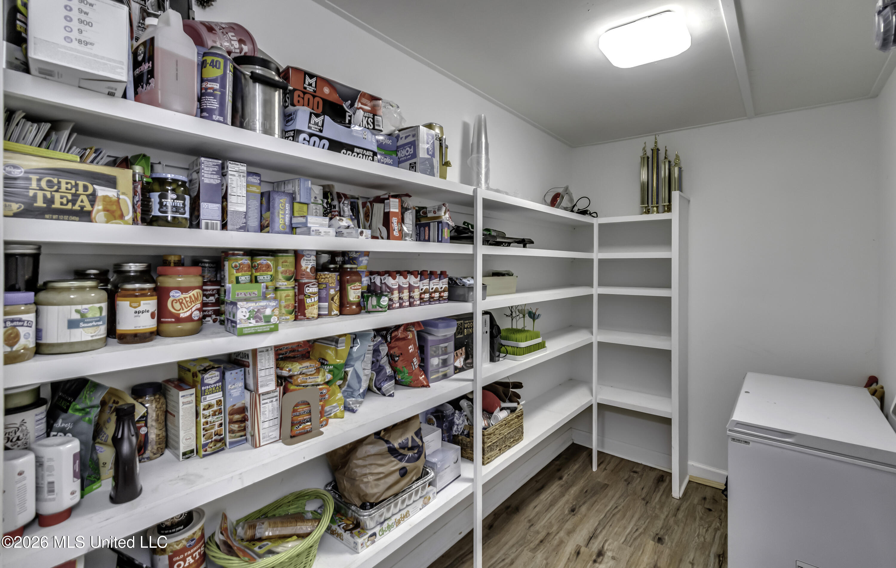 150 McKay Lane Brandon, MS 39042 - Photo 20 of 47 150 McKay Lane--58