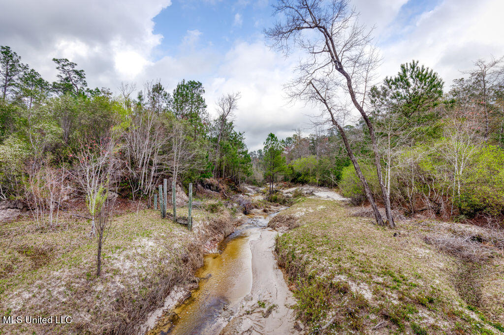 15429 Indian Fork Road Vancleave, MS 39565 - Photo 8 of 63 Creek