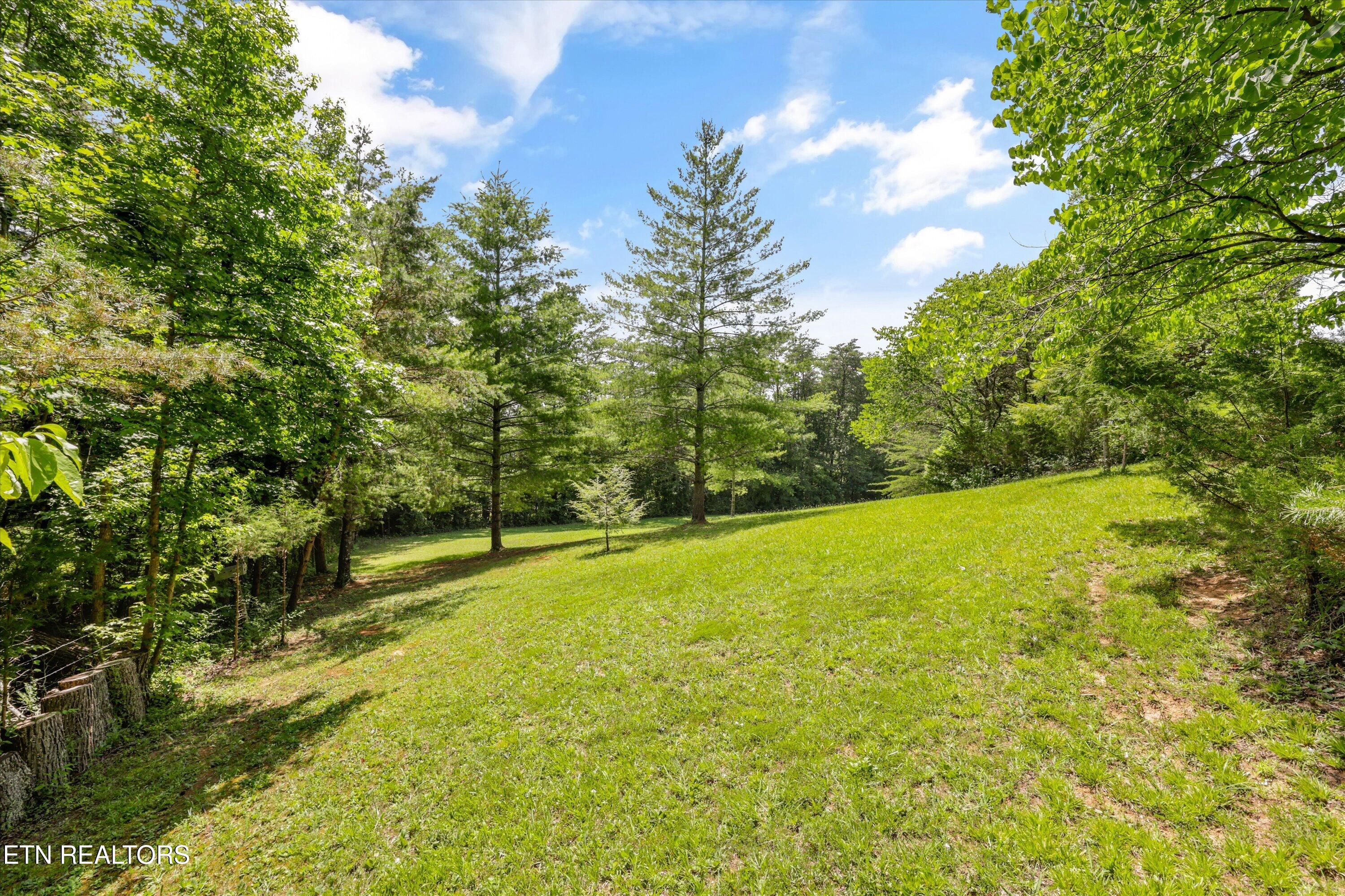 3924 Rocky Branch Road Walland, TN 37886 - Photo 52 of 59 48-3924 Rocky Branch Rd59