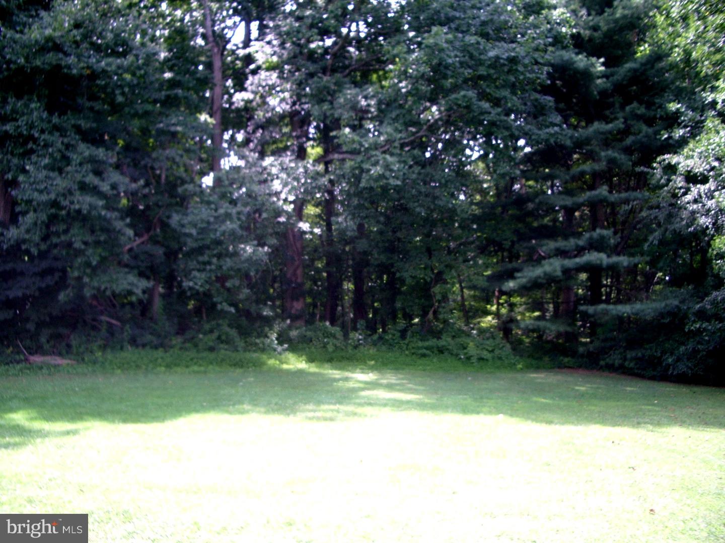 137 Grove Road Elverson, PA 19520 - Photo 4 of 15 View in Back