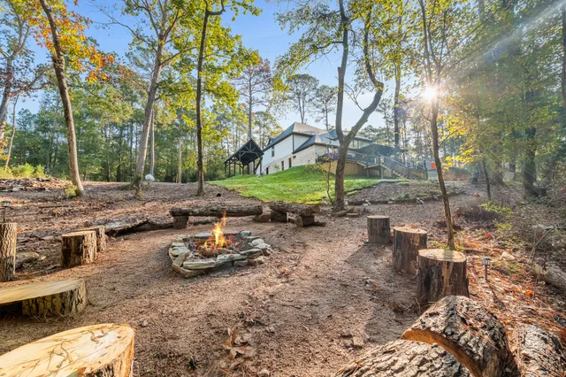 a view of a forest filled with trees
