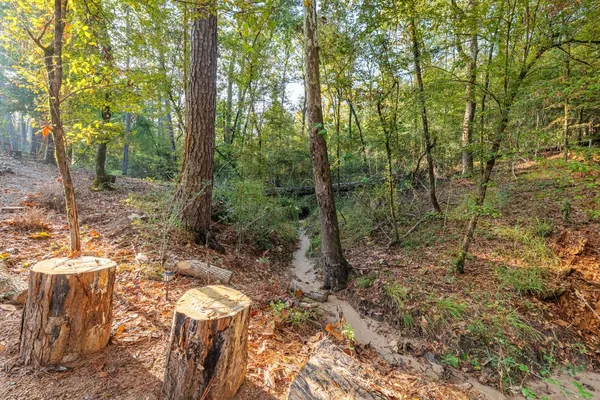 $539,000 | 223 Tall Pine, Livingston, TX 77351