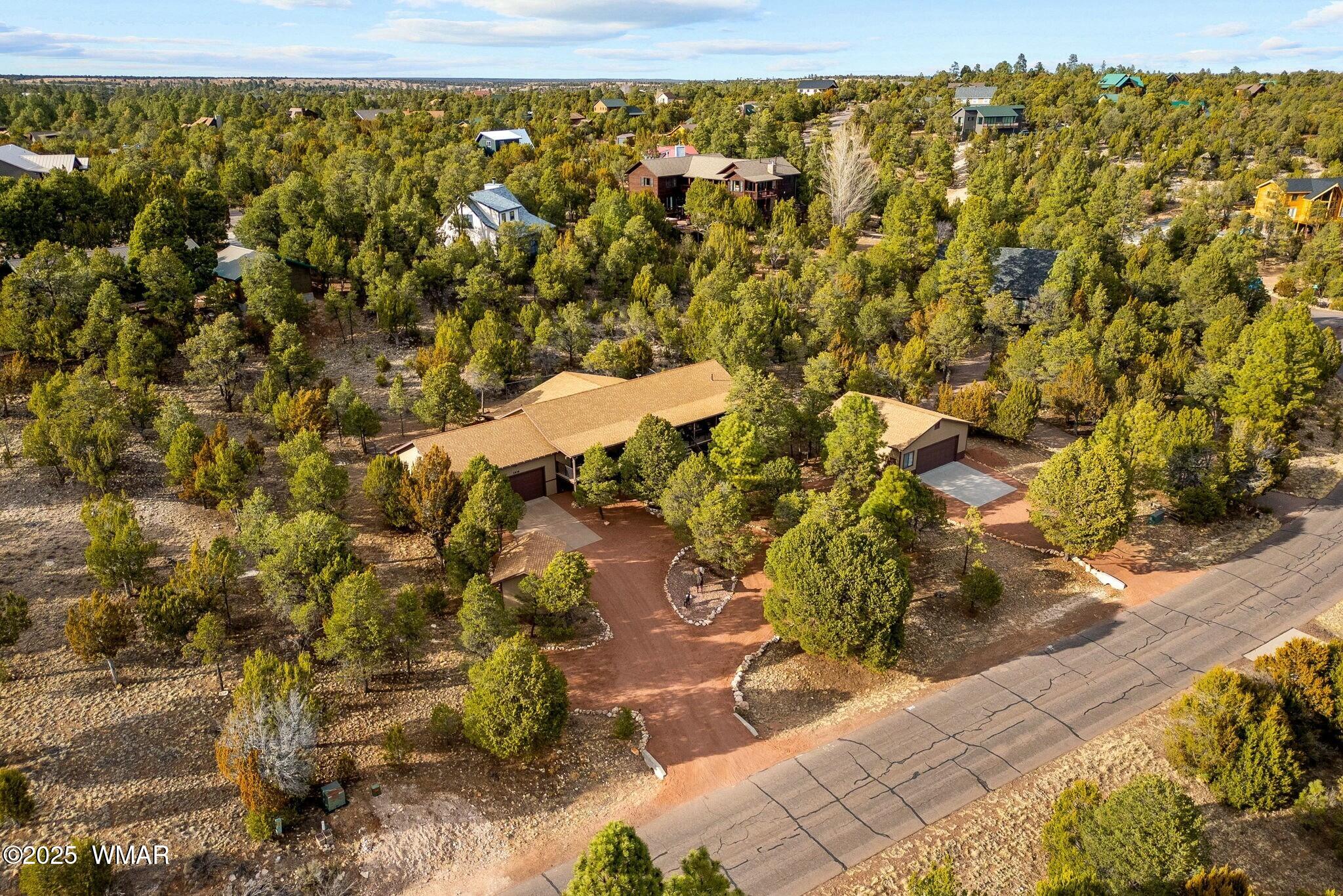 2938 Lodgepole Road Overgaard, AZ 85933 - Photo 38 of 43 a view of outdoor space and garden