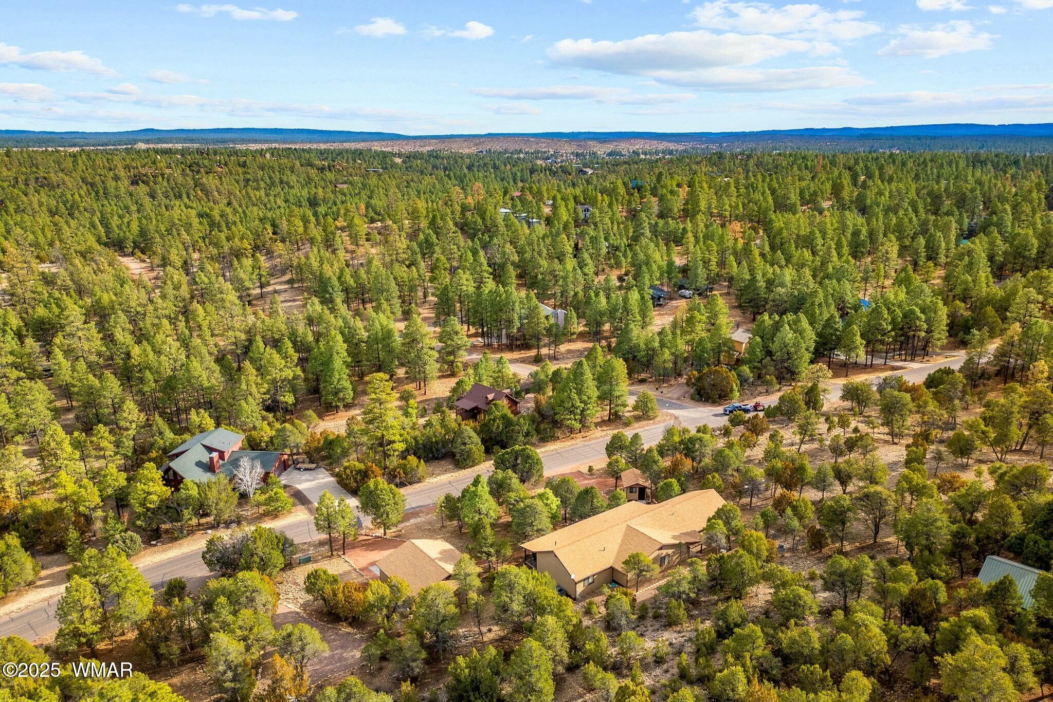 2938 Lodgepole Road Overgaard, AZ 85933 - Photo 39 of 43 a view of an outdoor space and a lake view