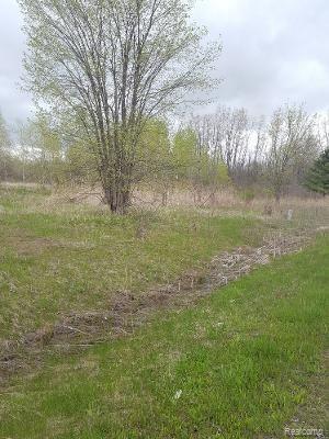0 Range Road Road Smiths Creek, MI 48074 - Photo 1 of 1