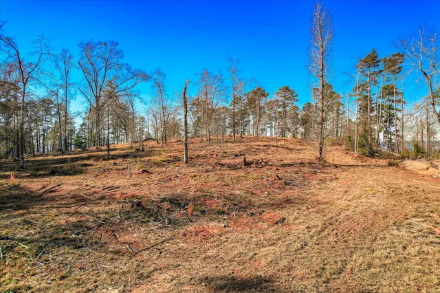 $749,000 | 490 Abundance Way, Appling, GA 30802