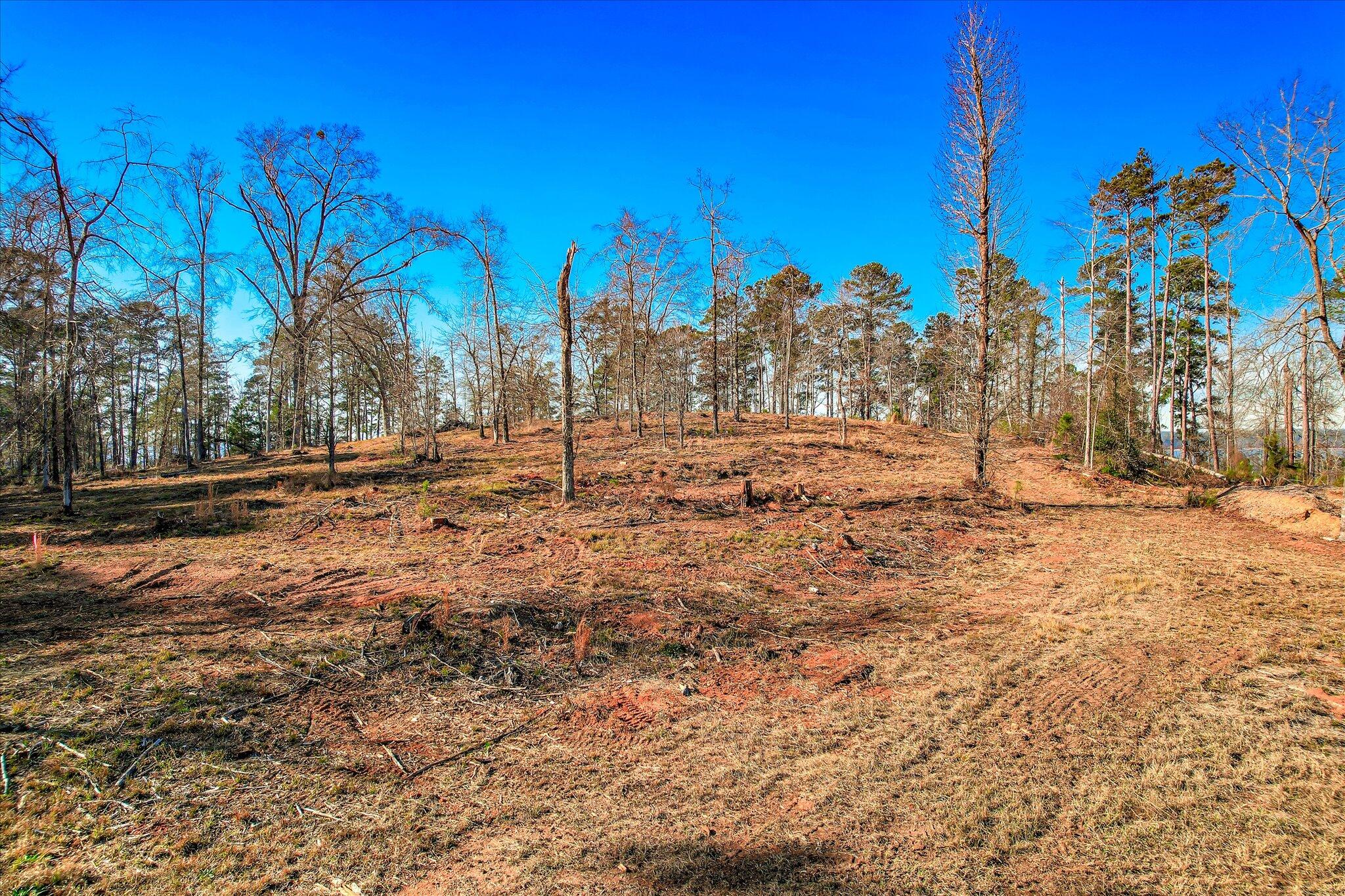 490 Abundance Way Appling, GA 30802 - Photo 15 of 16 15-115