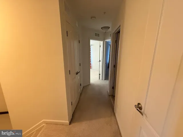 a room with windows and a rug