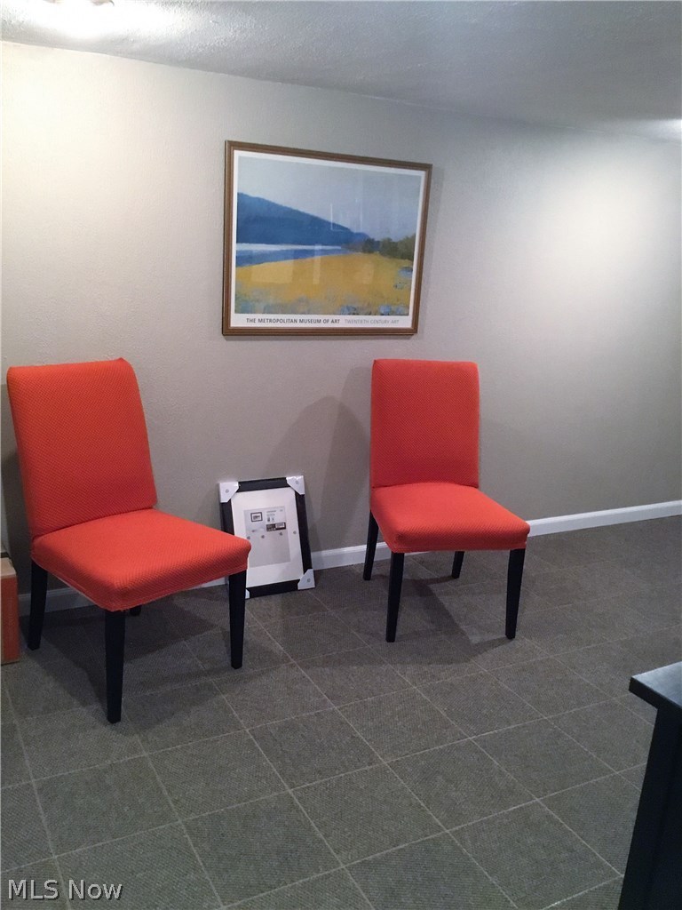 1359 Irene Road Lyndhurst, OH 44124 - Photo 23 of 32 This lower level room is newly done and so pretty.