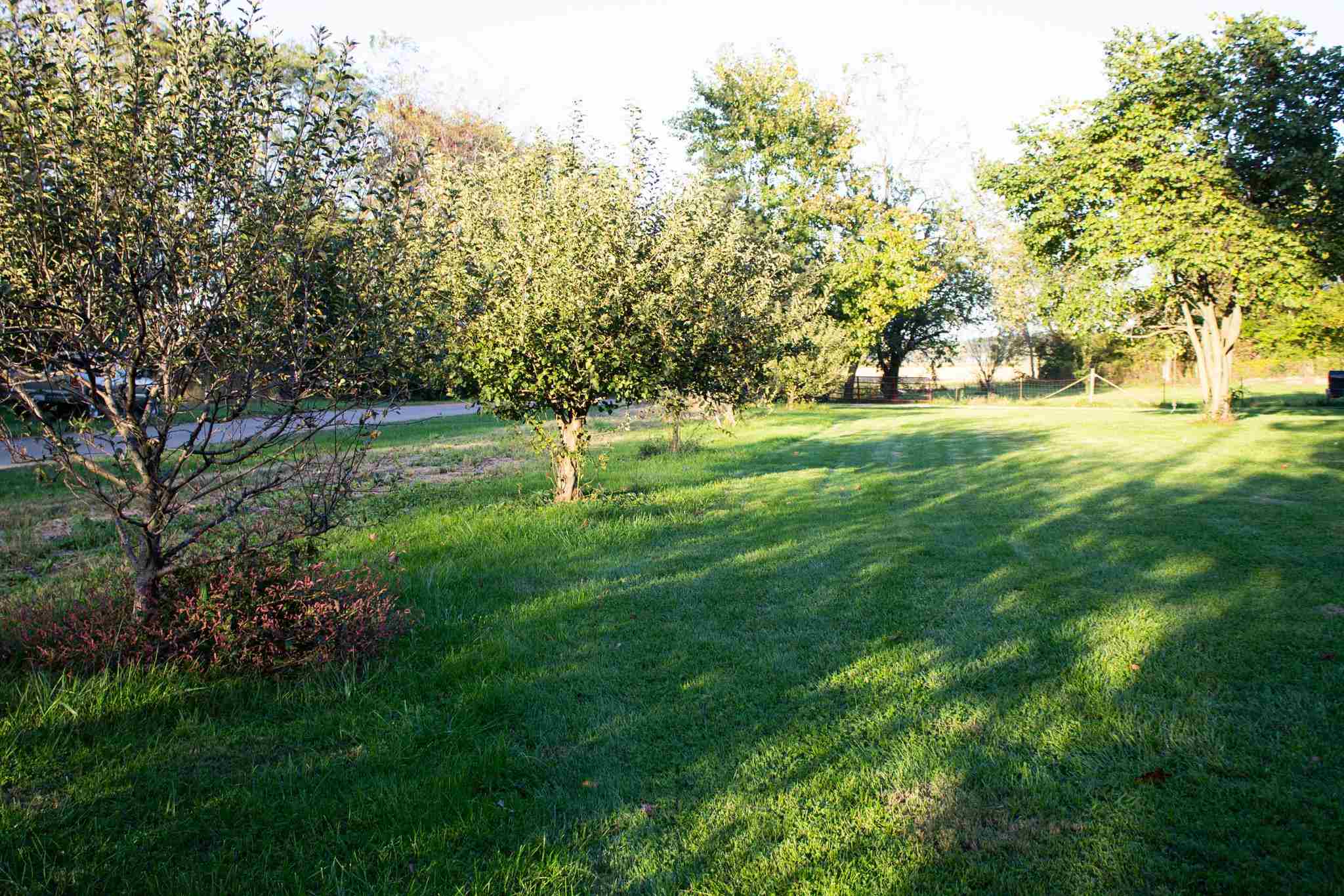 18130 River Road Danvers, IL 61732 - Photo 5 of 50