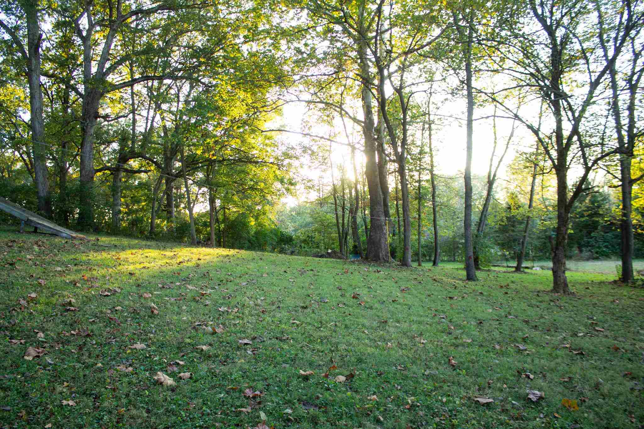 18130 River Road Danvers, IL 61732 - Photo 42 of 50