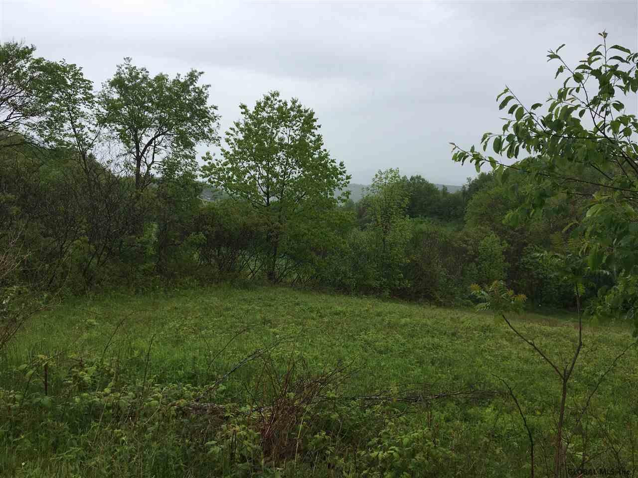 9 Liebig Road Hebron, NY 12832 - Photo 6 of 8 Photo 6