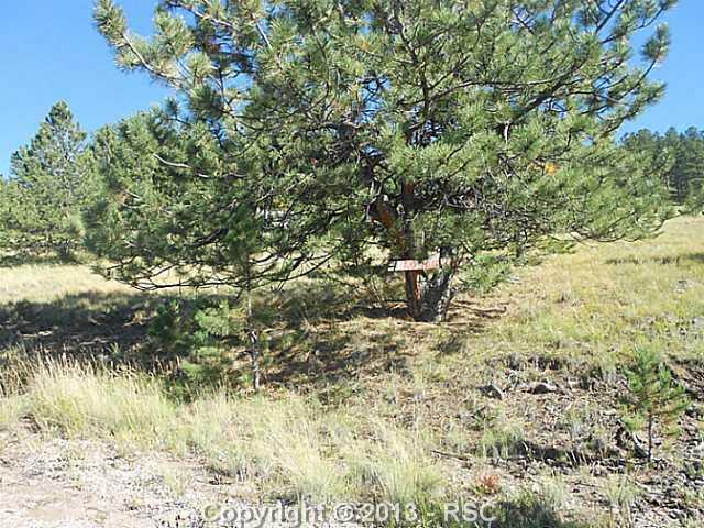 Tbd Cover Valley Road Guffey, CO 80820 - Photo 10 of 17 Gallery Image 10