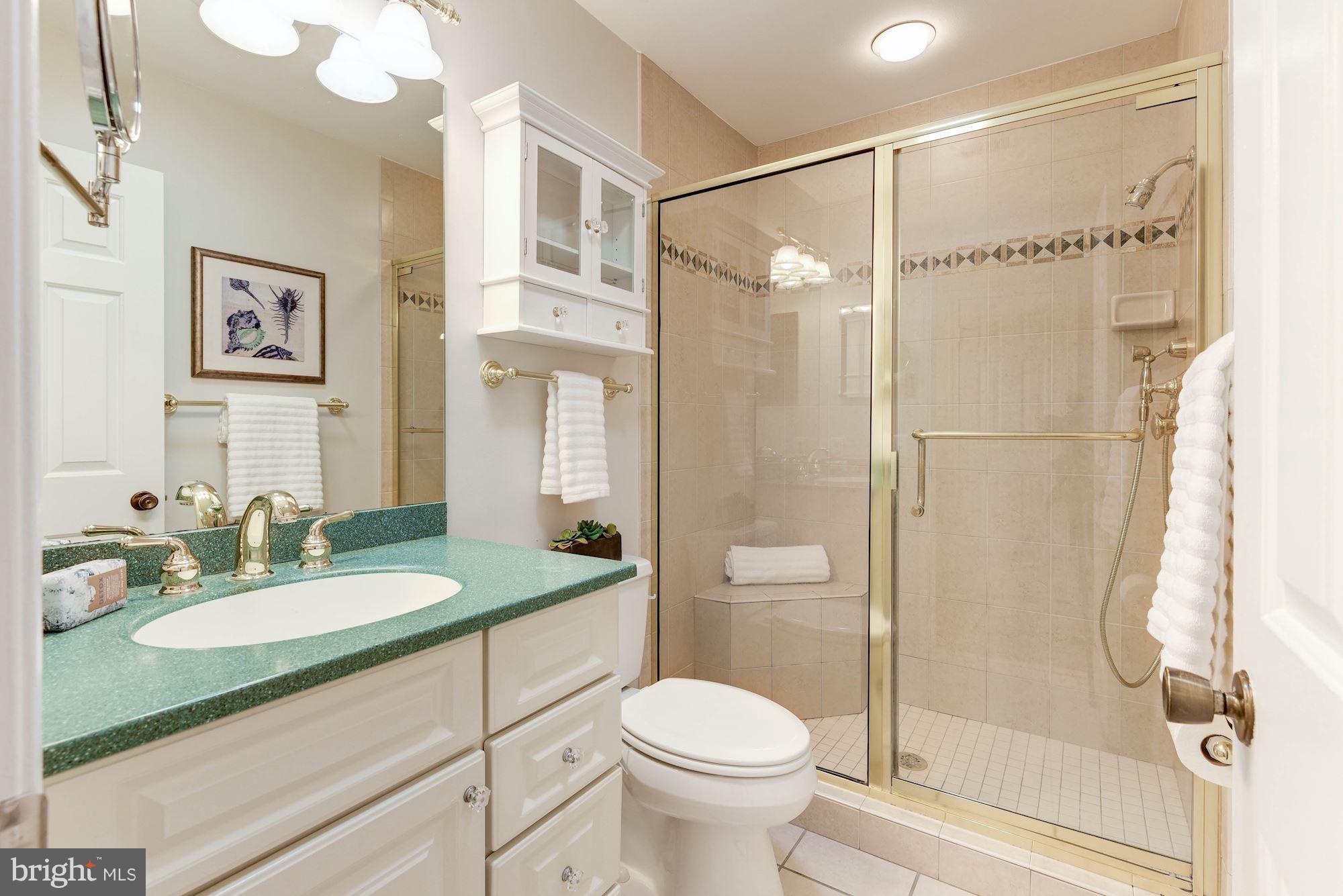 2710 Glencroft Road Vienna, VA 22181 - Photo 19 of 30 Bath (Master)