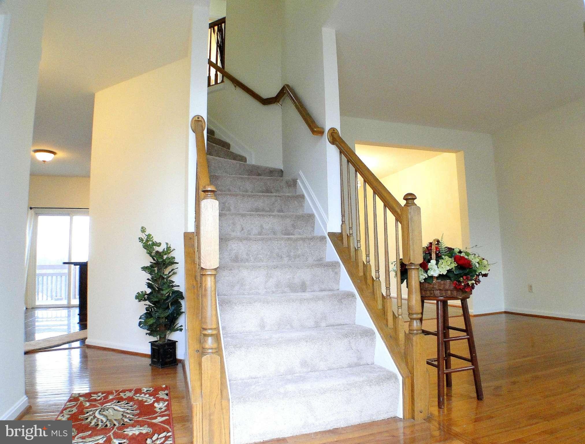 11416 Smiloff Road White Marsh, MD 21162 - Photo 2 of 30 Inviting Foyer