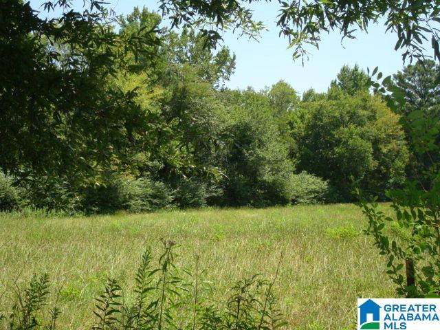 0 Dabbs Road, Unit 19 & 20 Oxford, AL 36203 - Photo 22 of 33