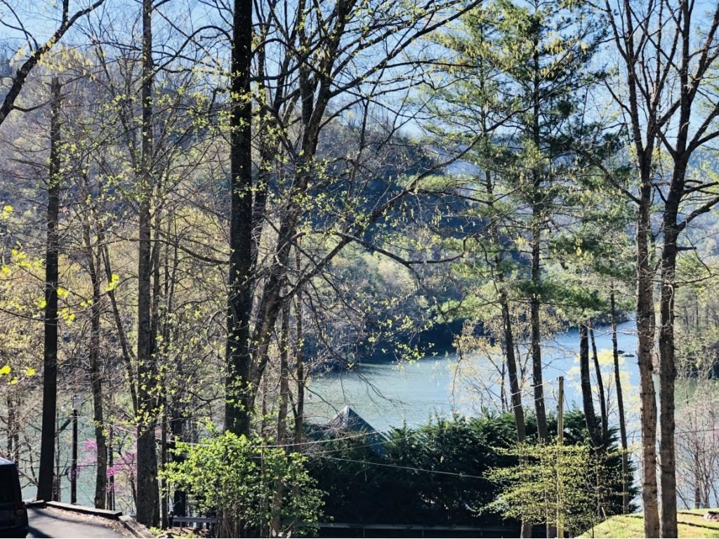 1983 Sink Valley Road Butler, TN 37640 - Photo 3 of 34 Photo 3