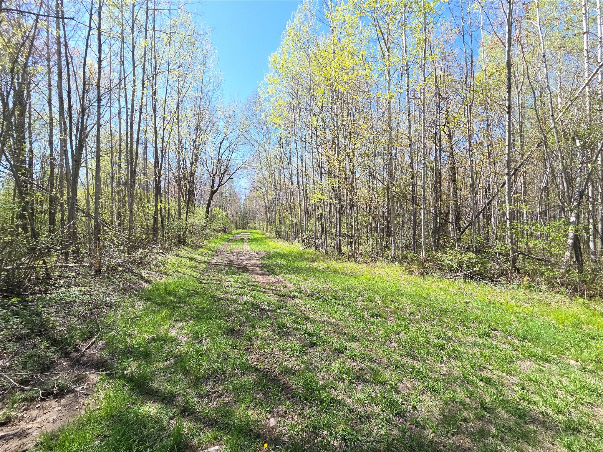 Off Hay Creek Road Prentice, WI 54556 - Photo 20 of 44 Gallery Image 20