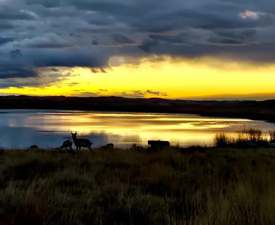 $350,000 | Lot 68 Shoreline Drive, Buffalo, WY 82834