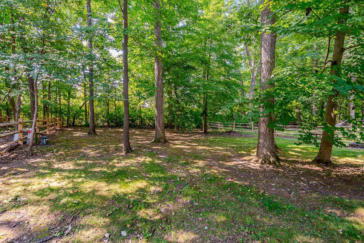 77 Beech Court Delaware, OH 43015 - Photo 28 of 34 back yard