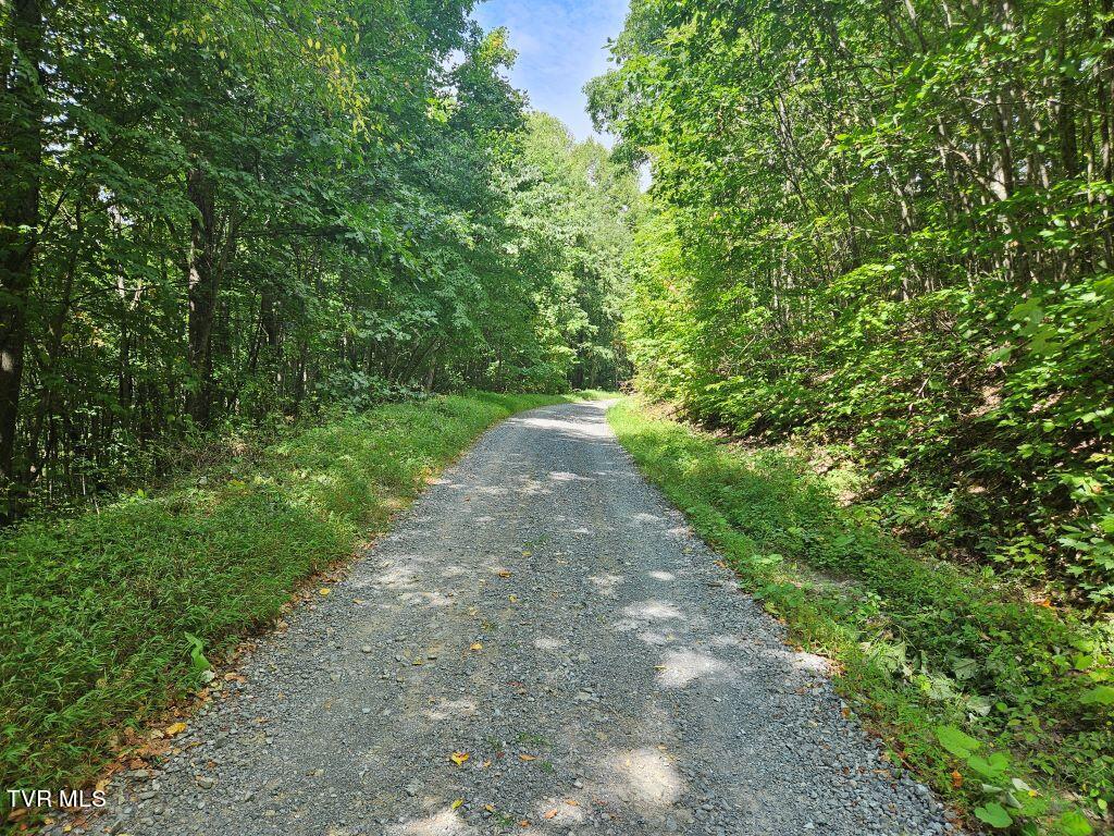 13.51-acre Cartwright Road Rowe, VA 24646 - Photo 3 of 25 3