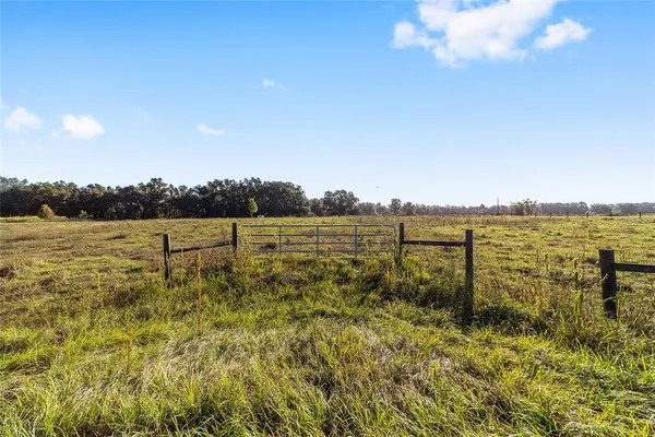 a view of a lake with houses in the background