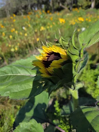 a view of swimming pool