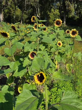 a view of a lake view