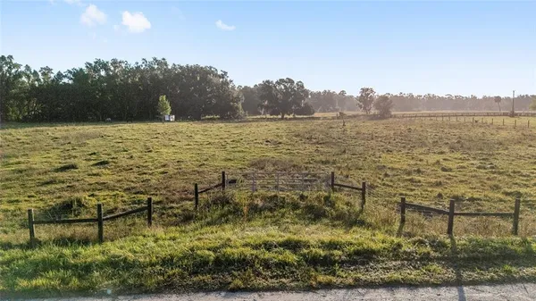 a view of a yard with a tree