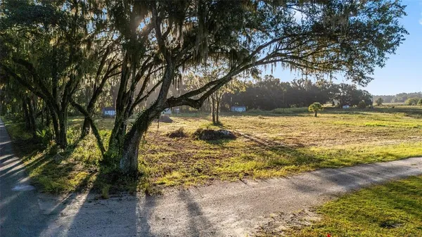 a view of a large yard