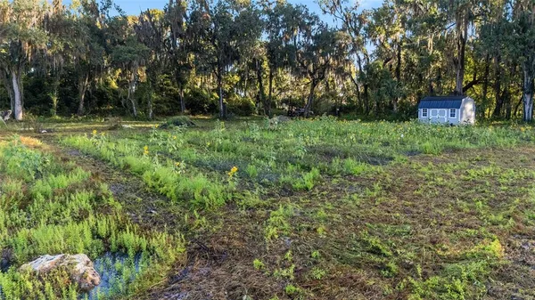 a view of an outdoor space and a yard