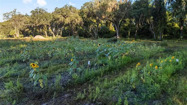 a view of a city with ocean view